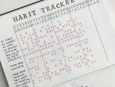 A piece of graph paper, with the title 'Habit Tracker' written on it. A graph sits below the title with red ticks, documenting each habit that was done each day.