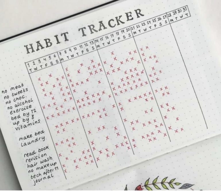 A piece of graph paper, with the title 'Habit Tracker' written on it. A graph sits below the title with red ticks, documenting each habit that was done each day.
