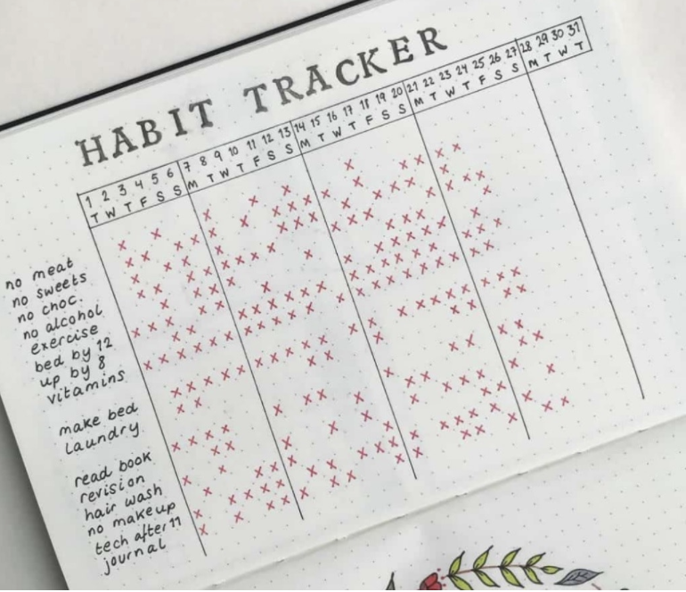 A piece of graph paper, with the title 'Habit Tracker' written on it. A graph sits below the title with red ticks, documenting each habit that was done each day.