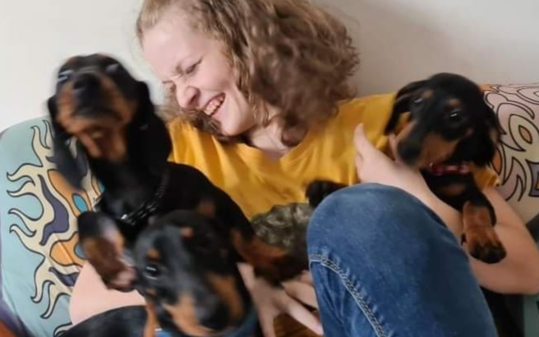 A woman with curly hair and a yellow shirt sits on a colorful couch, smiling joyfully as three excited dachshund dogs crowd around her.