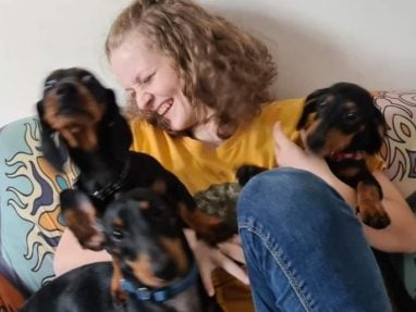 A woman with curly hair and a yellow shirt sits on a colorful couch, smiling joyfully as three excited dachshund dogs crowd around her.