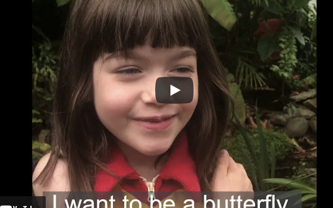 Young girl with brown hair smiles with her arms crossed over her chest, standing in front of green plants. Text at the bottom reads: I want to be a butterfly.